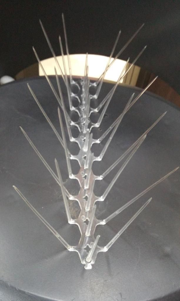 🕊️ SkyGuard™ Pigeon Control — Set of 10