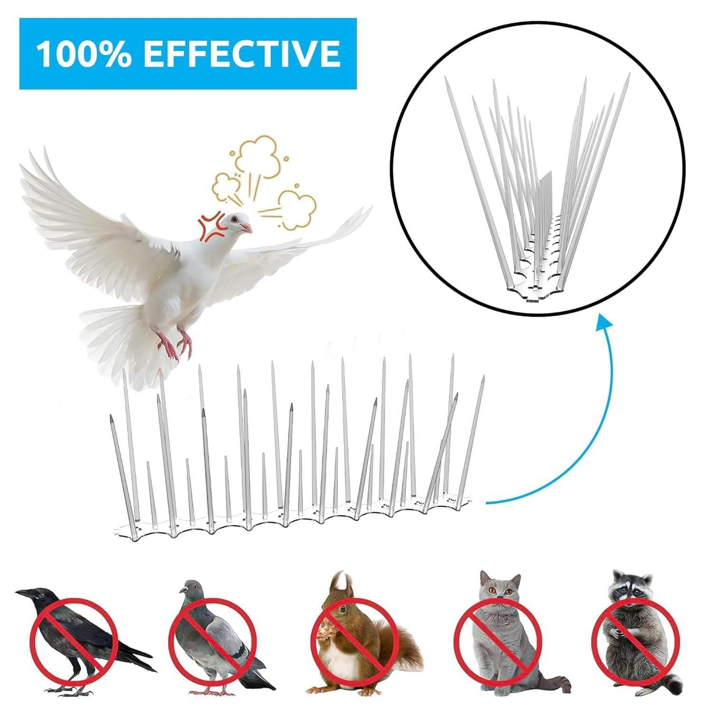 🕊️ SkyGuard™ Pigeon Control  — Set of 10