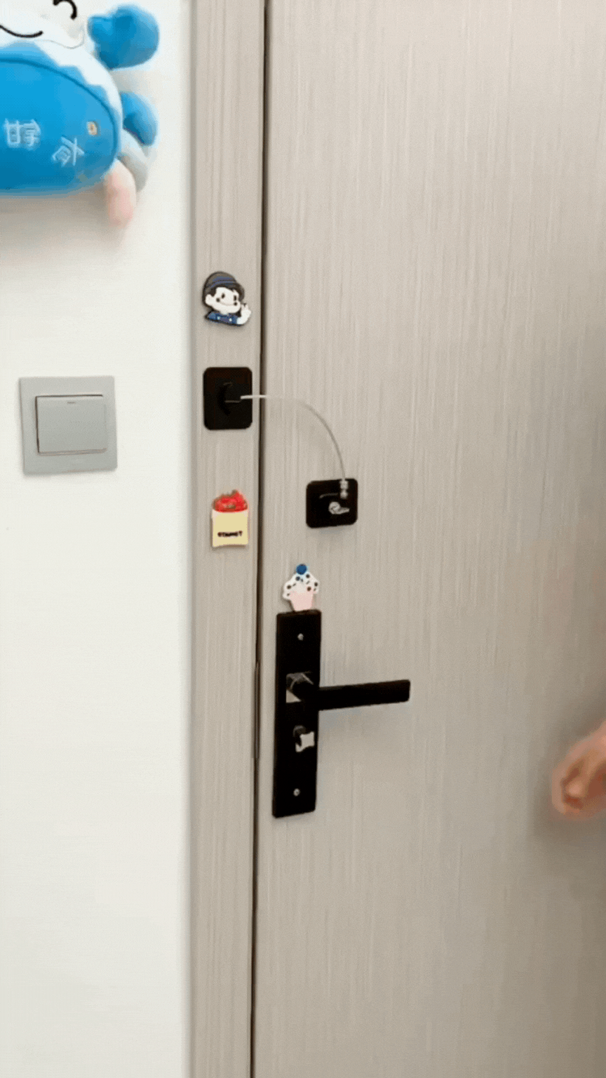 SafeGuard Pro™ – Universal Child Safety Lock