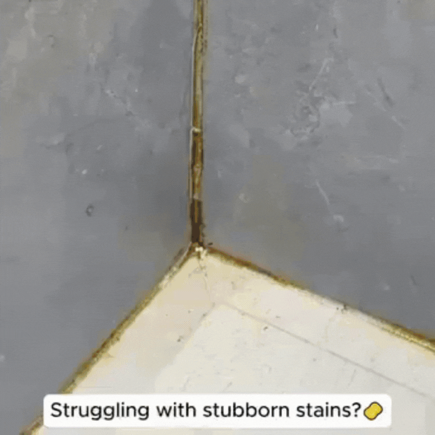 Introducing FreshaShield™ Mold Eraser — 60 ml Spray ( PACK OF 1 ,2 & 3)