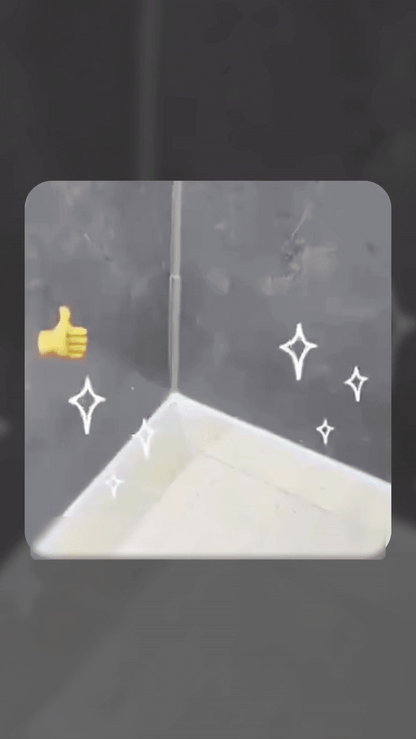 Introducing FreshaShield™ Mold Eraser — 60 ml Spray ( PACK OF 1 ,2 & 3)