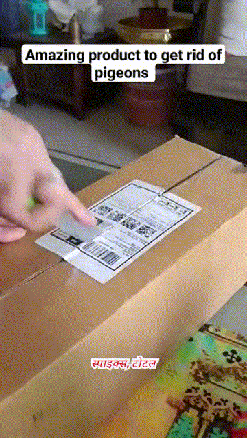 🕊️ SkyGuard™ Pigeon Control  — Set of 10